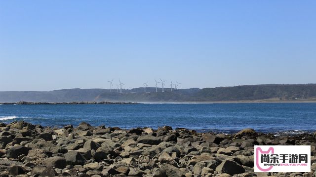 (河狸对生态环境的影响) 河狸计划的生态价值：如何通过恢复湿地生态系统促进生物多样性增长和水资源管理？